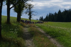 P1120611